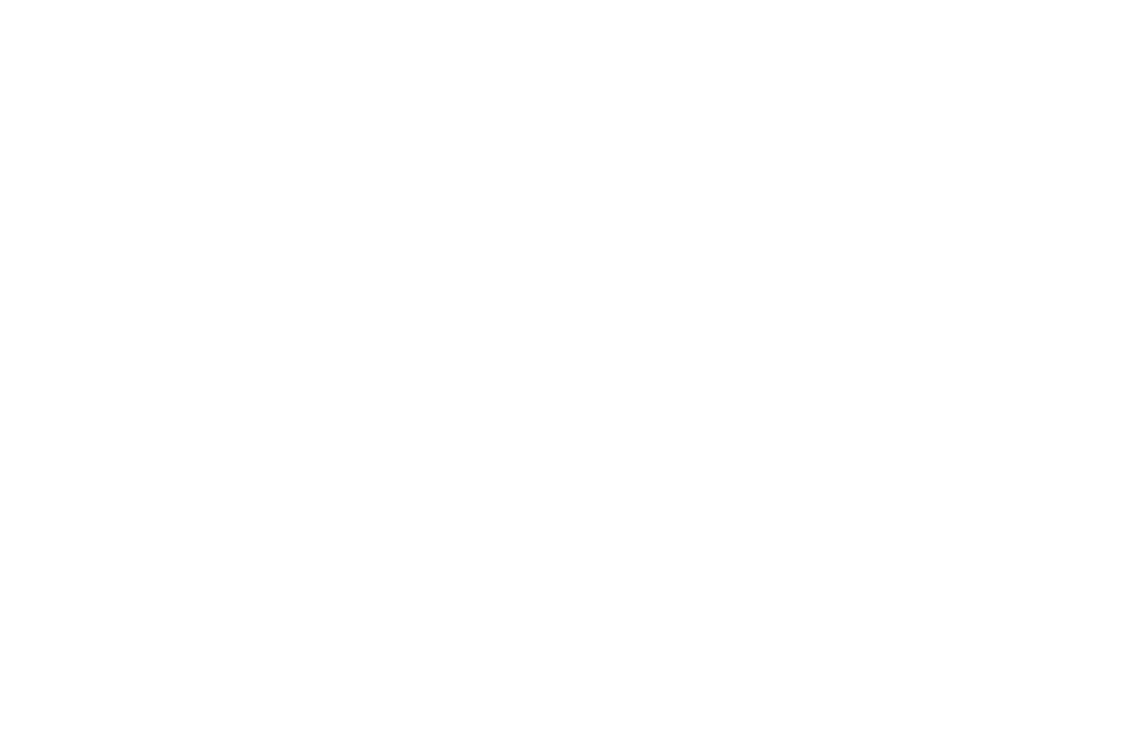 Visa Segura USA